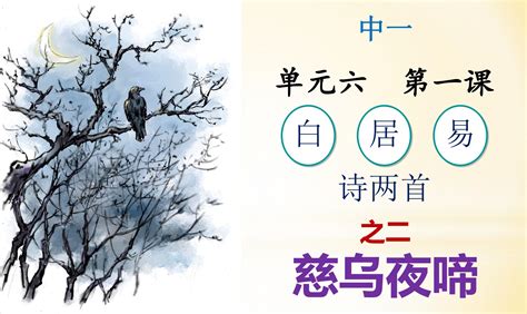 慈烏夜啼有幾組對句|白居易《慈烏夜啼》全文翻譯賞析 